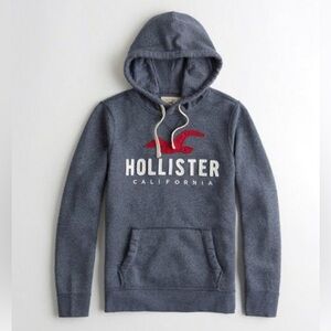 Hollister Mens Hoodie Sz S